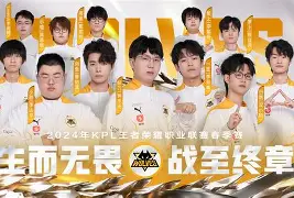 狼队ds